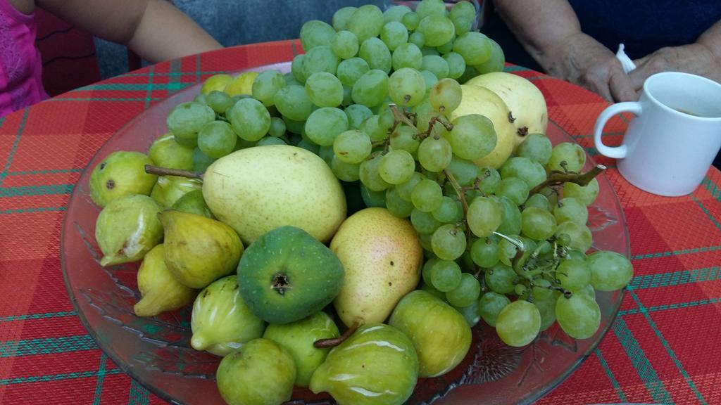 Holiday Home Sarin Most Stolac エクステリア 写真